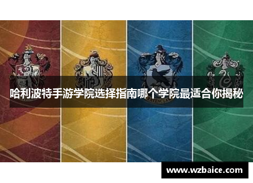哈利波特手游学院选择指南哪个学院最适合你揭秘