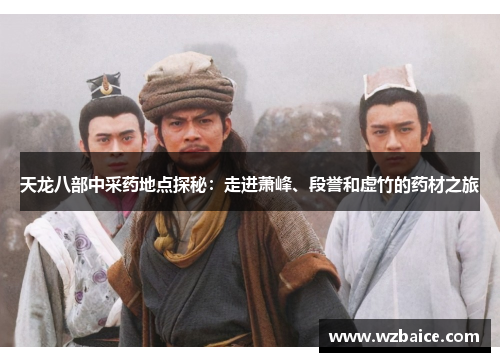 天龙八部中采药地点探秘：走进萧峰、段誉和虚竹的药材之旅