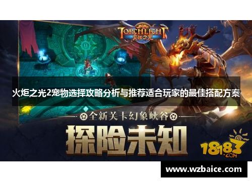 火炬之光2宠物选择攻略分析与推荐适合玩家的最佳搭配方案