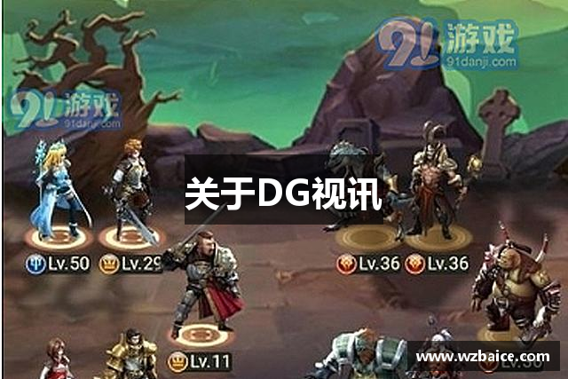 关于DG视讯